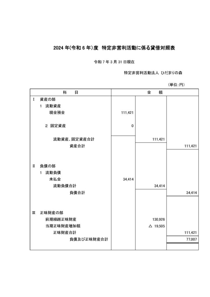 2024年（令和6年）度 特定非営利活動に係る貸借対照表